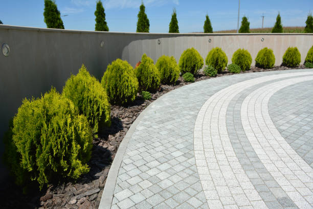 Best Driveway Paving Near Me  in Muskego, WI